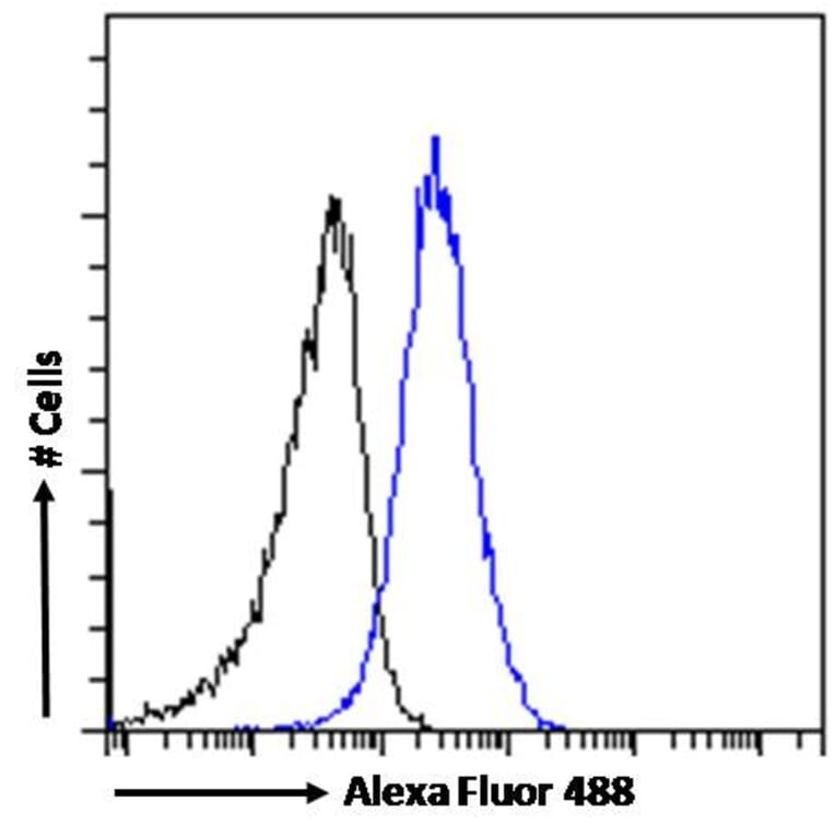 Flow Cytometry - Anti-MRP8 Antibody (A82762) - Antibodies.com