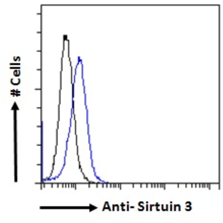 Flow Cytometry - Anti-SIRT3 Antibody (A82776) - Antibodies.com