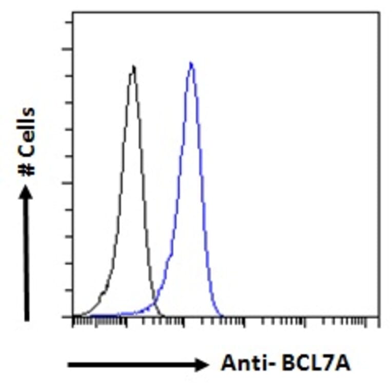 Flow Cytometry - Anti-Bcl 7A Antibody (A82781) - Antibodies.com