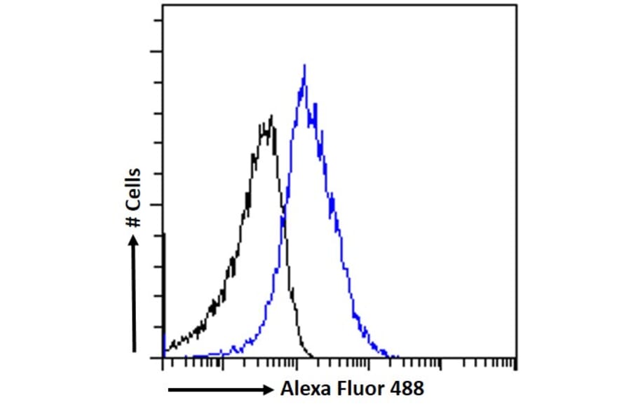 Flow Cytometry - Anti-SDF4 Antibody (A82791) - Antibodies.com