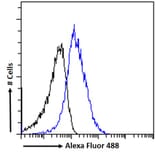Flow Cytometry - Anti-SDF4 Antibody (A82791) - Antibodies.com