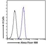 Flow Cytometry - Anti-CAMK2 alpha Antibody (A82795) - Antibodies.com