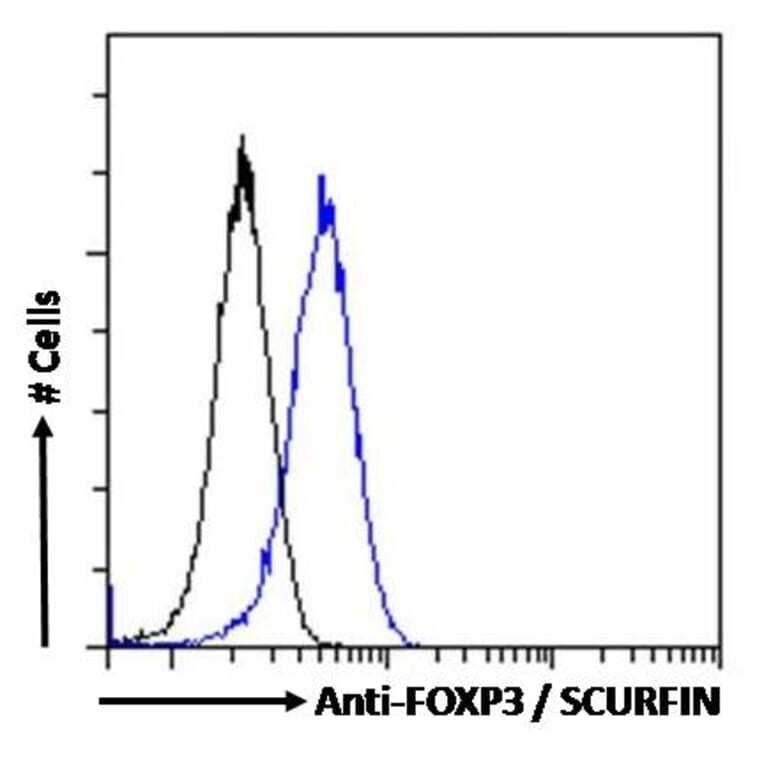 Flow Cytometry - Anti-FOXP3 Antibody (A82808) - Antibodies.com