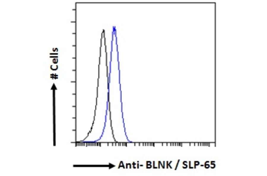 Flow Cytometry - Anti-BLNK Antibody (A82812) - Antibodies.com