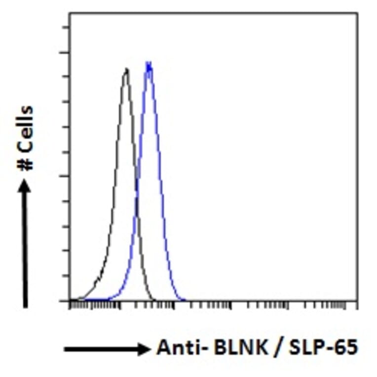 Flow Cytometry - Anti-BLNK Antibody (A82812) - Antibodies.com