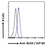 Flow Cytometry - Anti-BLNK Antibody (A82812) - Antibodies.com