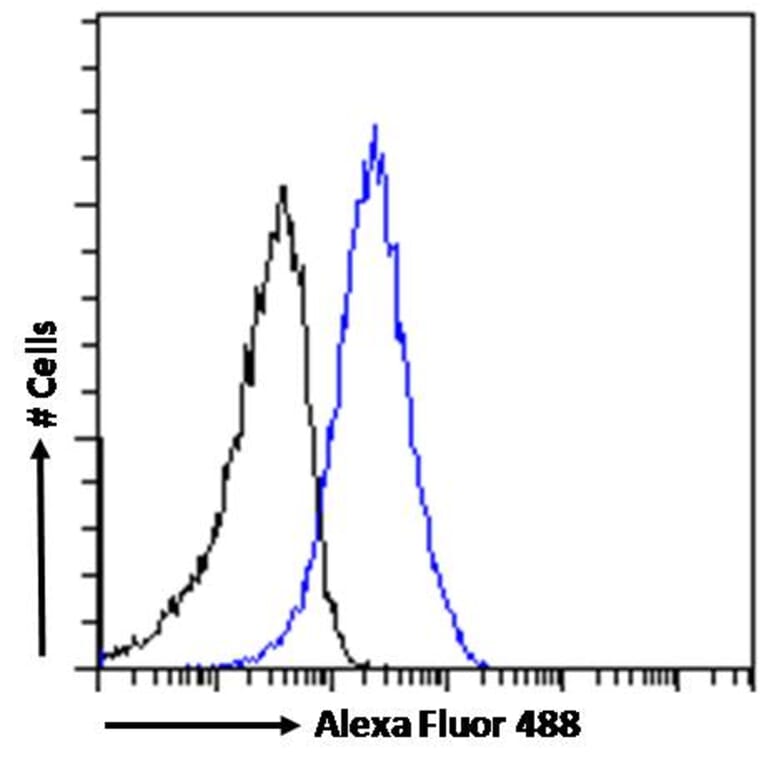 Flow Cytometry - Anti-DDAH1 Antibody (A82817) - Antibodies.com