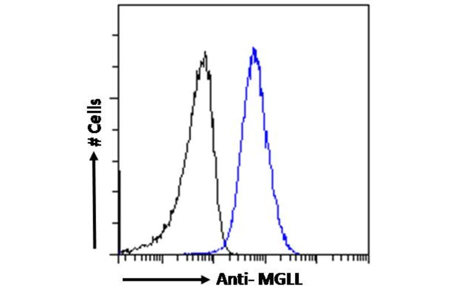 Flow Cytometry - Anti-Monoacylglycerol Lipase/MGL Antibody (A82819) - Antibodies.com