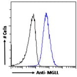 Flow Cytometry - Anti-Monoacylglycerol Lipase/MGL Antibody (A82819) - Antibodies.com