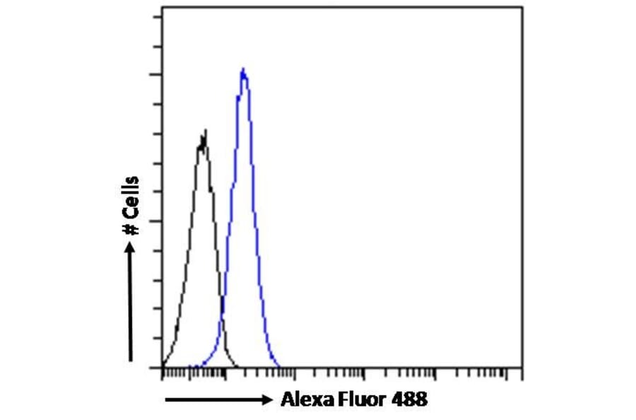 Flow Cytometry - Anti-VAV3 Antibody (A82829) - Antibodies.com