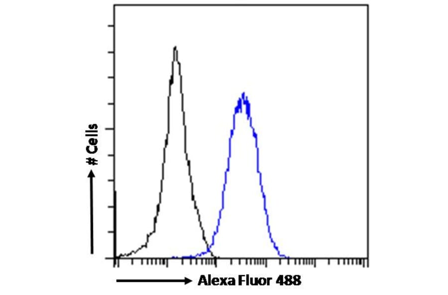 Flow Cytometry - Anti-ROR gamma Antibody (A82850) - Antibodies.com