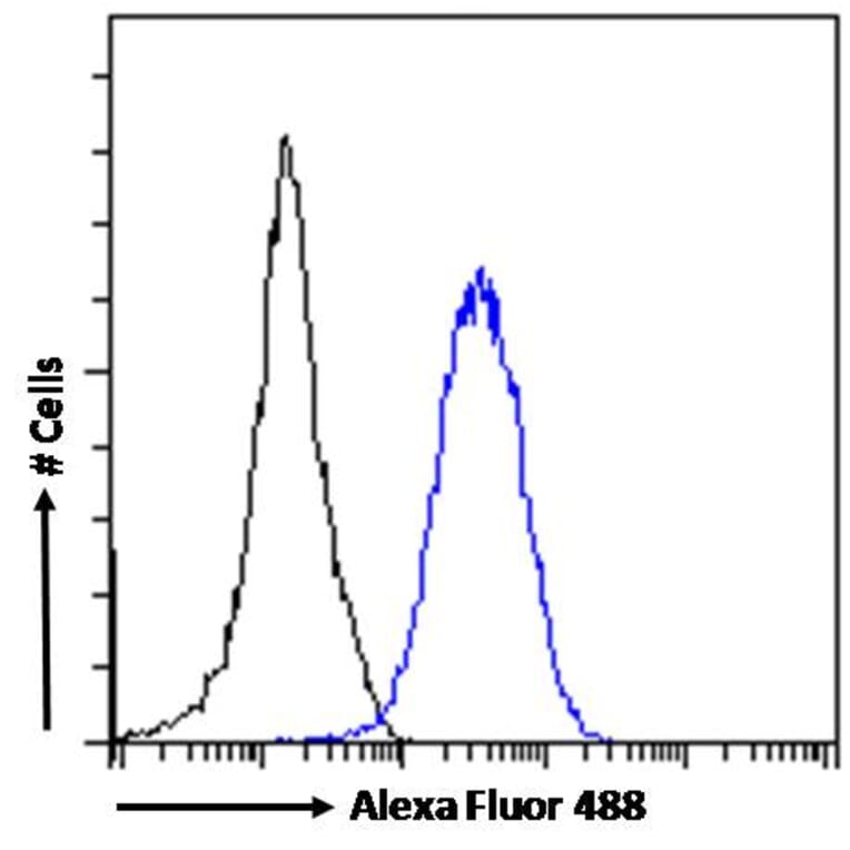 Flow Cytometry - Anti-ROR gamma Antibody (A82850) - Antibodies.com