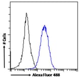 Flow Cytometry - Anti-ROR gamma Antibody (A82850) - Antibodies.com