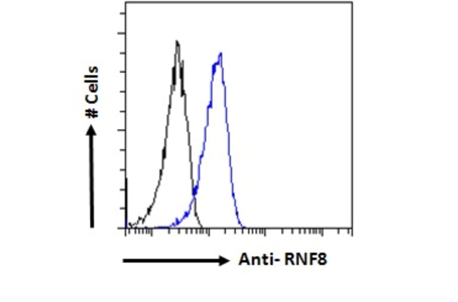 Flow Cytometry - Anti-RNF8 Antibody (A82876) - Antibodies.com
