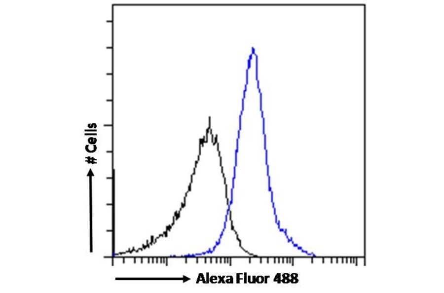 Flow Cytometry - Anti-WISP1 Antibody (A82877) - Antibodies.com