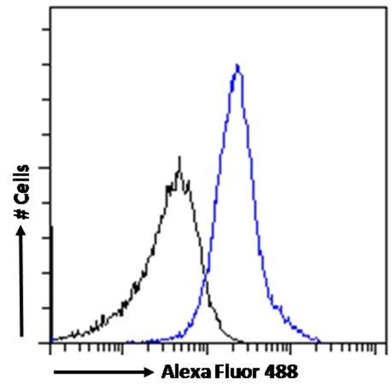 Flow Cytometry - Anti-WISP1 Antibody (A82877) - Antibodies.com