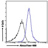 Flow Cytometry - Anti-WISP1 Antibody (A82877) - Antibodies.com