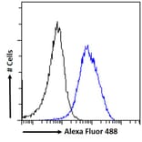 Flow Cytometry - Anti-Kallikrein 6 Antibody (A82894) - Antibodies.com