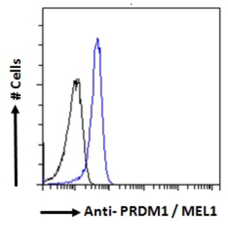 Flow Cytometry - Anti-PRDM1/Blimp1 Antibody (A82932) - Antibodies.com
