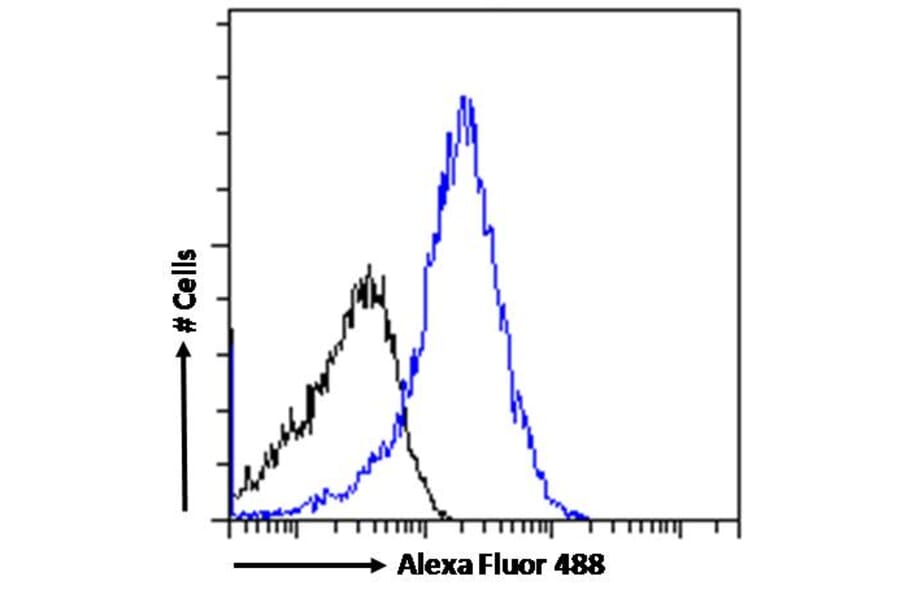 Flow Cytometry - Anti-Tet2 Antibody (A82944) - Antibodies.com