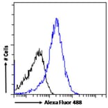 Flow Cytometry - Anti-Tet2 Antibody (A82944) - Antibodies.com