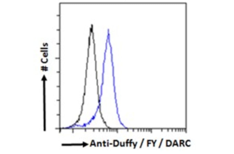 Flow Cytometry - Anti-DARC Antibody (A82945) - Antibodies.com