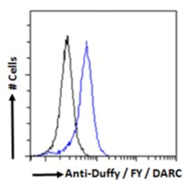 Flow Cytometry - Anti-DARC Antibody (A82945) - Antibodies.com