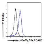 Flow Cytometry - Anti-DARC Antibody (A82945) - Antibodies.com