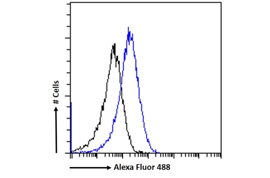 Flow Cytometry - Anti-SAP97 Antibody (A82950) - Antibodies.com