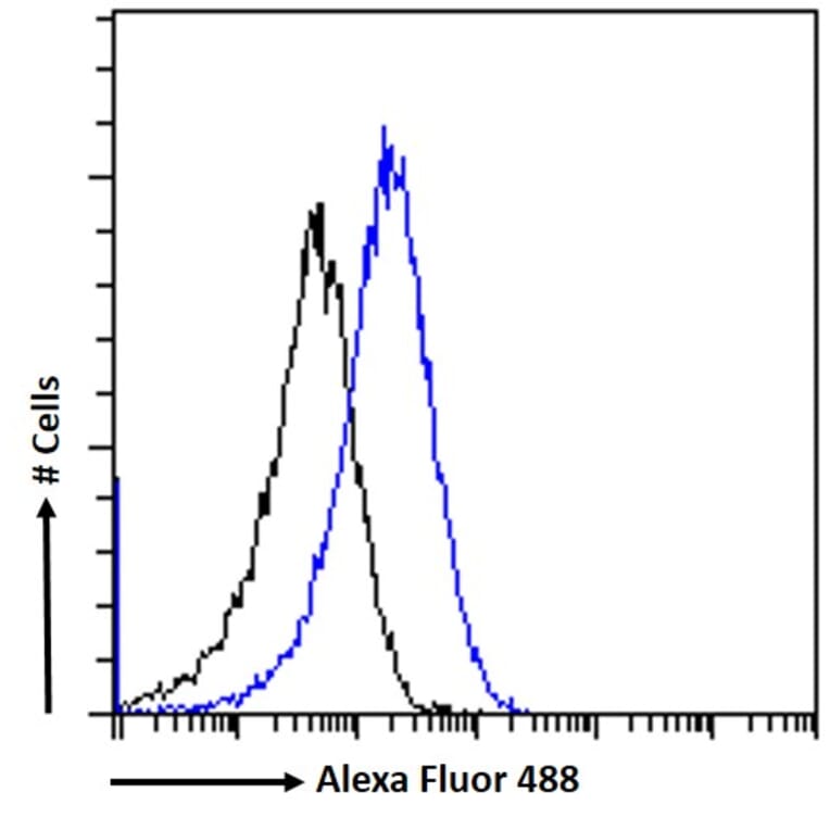 Flow Cytometry - Anti-SAP97 Antibody (A82950) - Antibodies.com