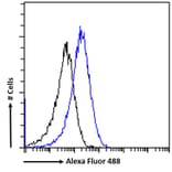 Flow Cytometry - Anti-SAP97 Antibody (A82950) - Antibodies.com
