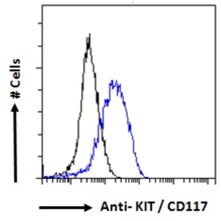 Flow Cytometry - Anti-c-Kit Antibody (A82989) - Antibodies.com