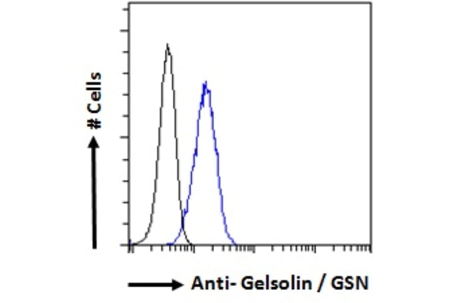 Flow Cytometry - Anti-Gelsolin Antibody (A82992) - Antibodies.com
