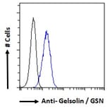 Flow Cytometry - Anti-Gelsolin Antibody (A82992) - Antibodies.com