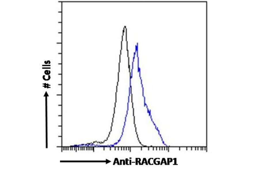 Flow Cytometry - Anti-RACGAP1/MGCRACGAP Antibody (A83070) - Antibodies.com