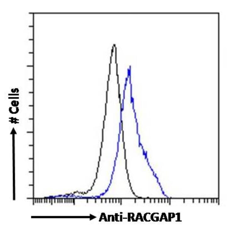 Flow Cytometry - Anti-RACGAP1/MGCRACGAP Antibody (A83070) - Antibodies.com