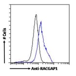 Flow Cytometry - Anti-RACGAP1/MGCRACGAP Antibody (A83070) - Antibodies.com