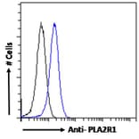 Flow Cytometry - Anti-PLA2R Antibody (A83073) - Antibodies.com