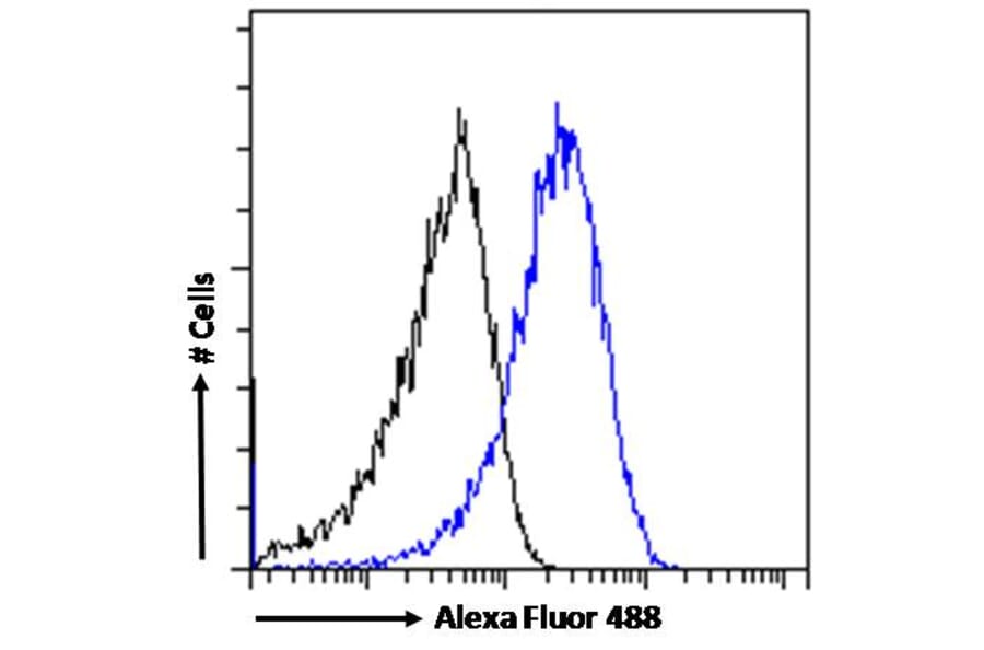 Flow Cytometry - Anti-ARF1 Antibody (A83143) - Antibodies.com