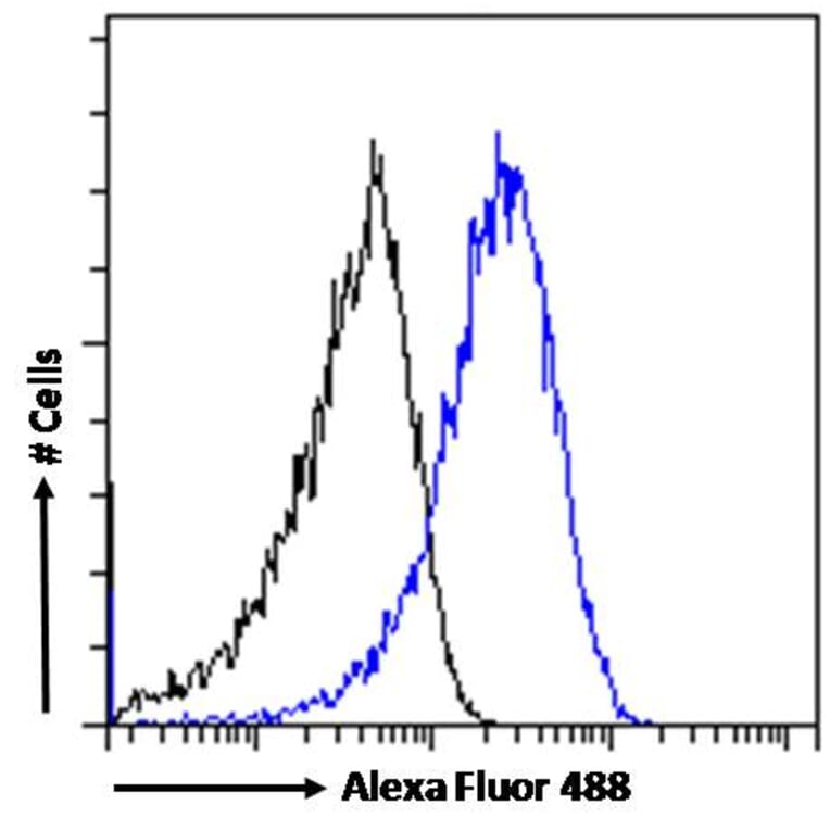 Flow Cytometry - Anti-ARF1 Antibody (A83143) - Antibodies.com