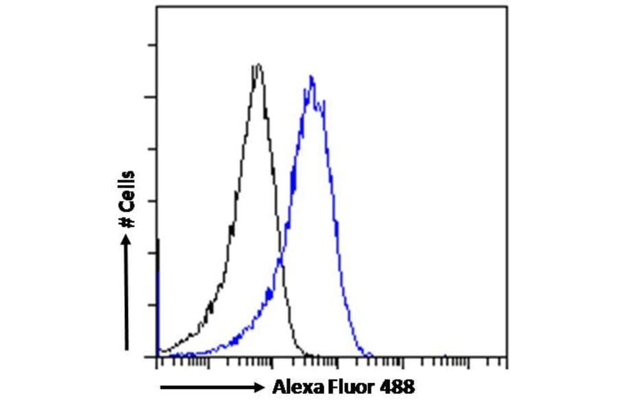 Flow Cytometry - Anti-Triosephosphate Isomerase Antibody (A83170) - Antibodies.com