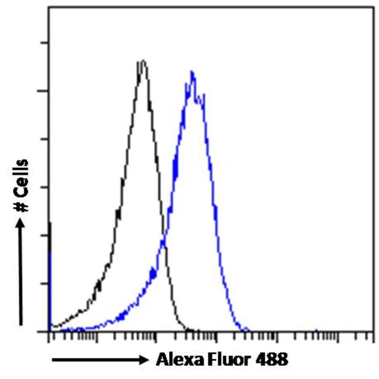 Flow Cytometry - Anti-Triosephosphate Isomerase Antibody (A83170) - Antibodies.com