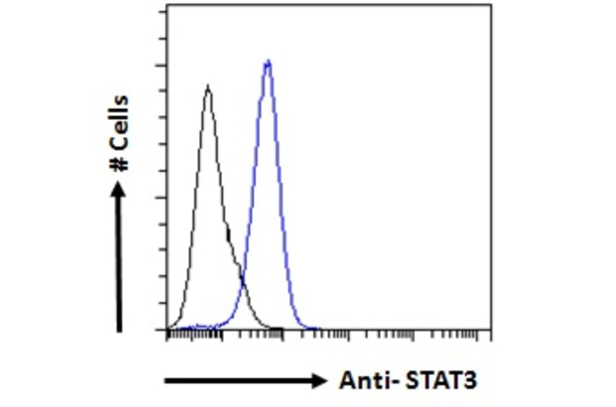 Flow Cytometry - Anti-STAT3 Antibody (A83190) - Antibodies.com