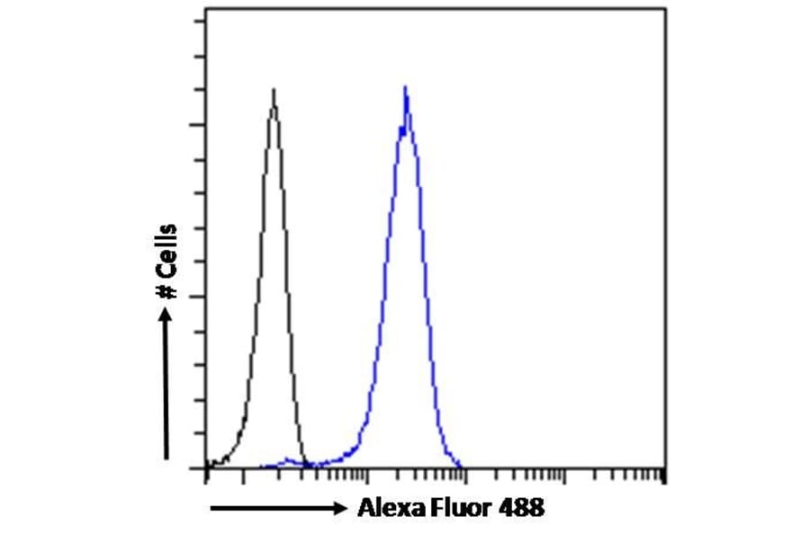 Flow Cytometry - Anti-Acetylcholinesterase Antibody (A83194) - Antibodies.com