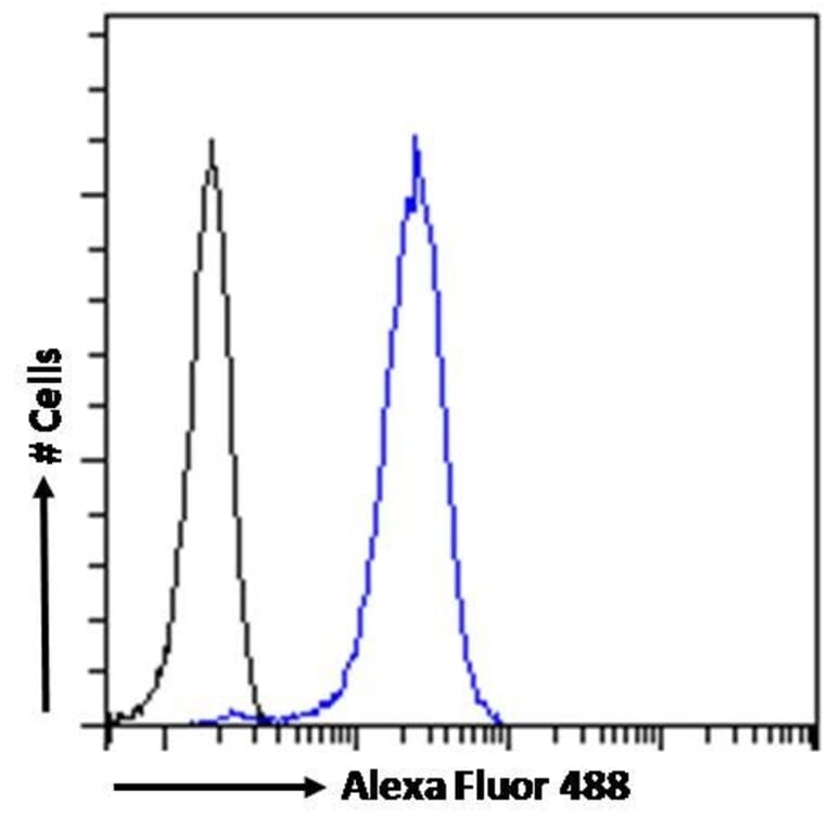 Flow Cytometry - Anti-Acetylcholinesterase Antibody (A83194) - Antibodies.com