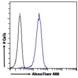 Flow Cytometry - Anti-Acetylcholinesterase Antibody (A83194) - Antibodies.com
