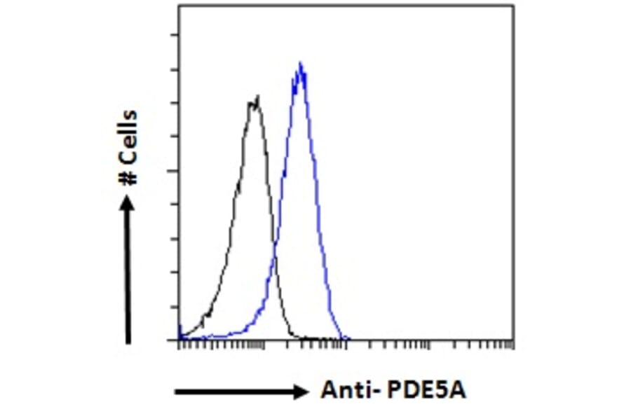 Flow Cytometry - Anti-GABPB2/Nuclear Respiratory Factor 2 Antibody (A83197) - Antibodies.com