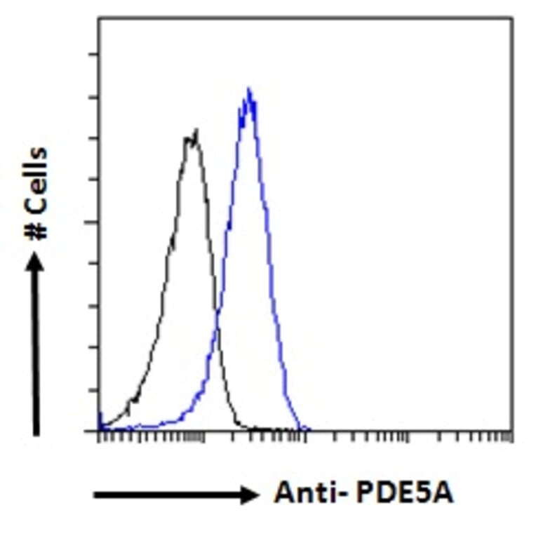 Flow Cytometry - Anti-GABPB2/Nuclear Respiratory Factor 2 Antibody (A83197) - Antibodies.com