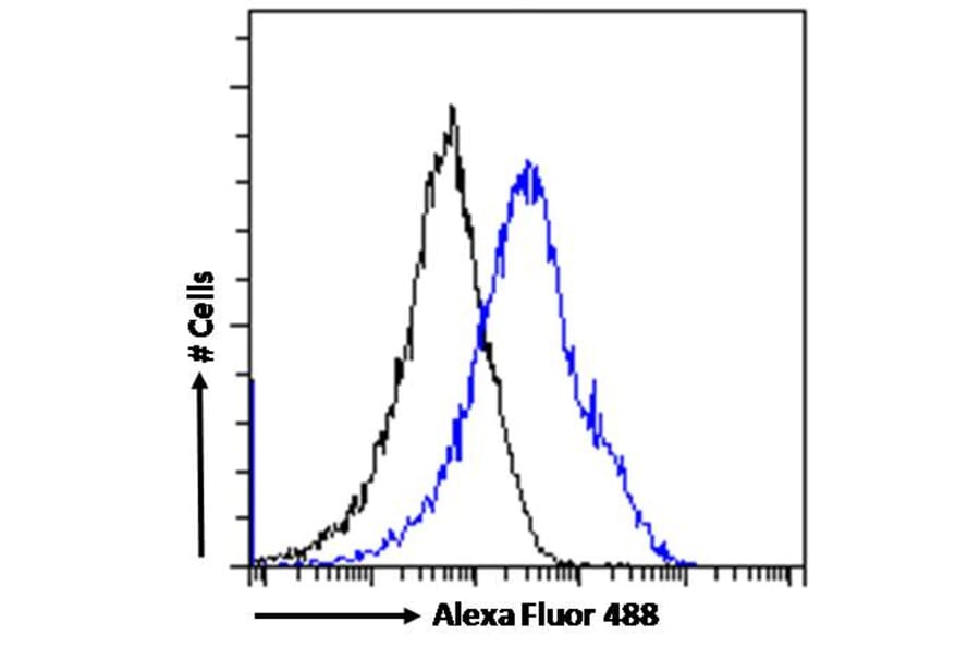 Flow Cytometry - Anti-MXD3/MAD3 Antibody (A83200) - Antibodies.com