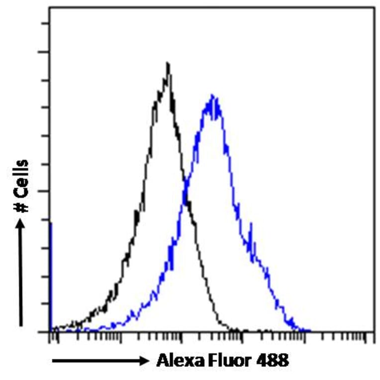 Flow Cytometry - Anti-MXD3/MAD3 Antibody (A83200) - Antibodies.com